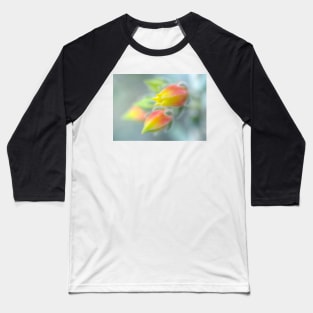 Here Comes The Echeveria Baseball T-Shirt